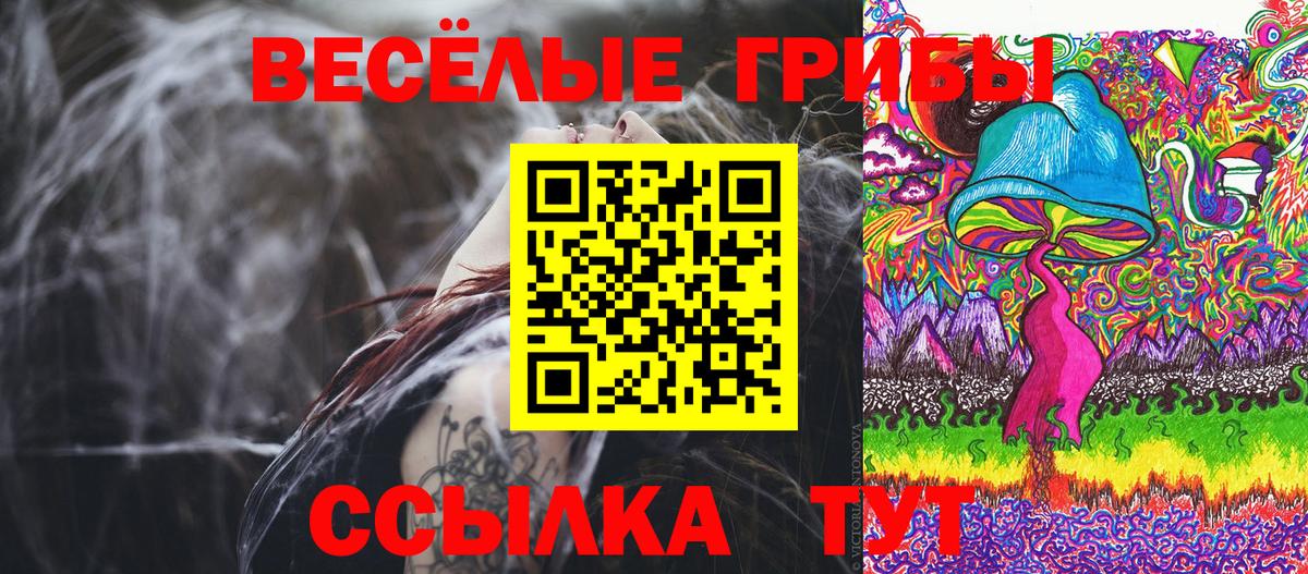 Псилоцибиновые грибы прущие грибы Армавир